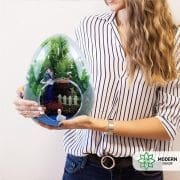 Teraryum | Teraryum Nedir?