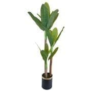 Lüks Yapay Muz Ağacı 220 Cm