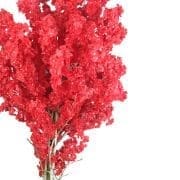 Siyah Dekoratif Ahşap Saksıda Kırmızı Yapay Bahar Dalı Ağacı 200CM