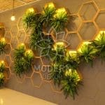 muğla yapay sarmaşık modelleri