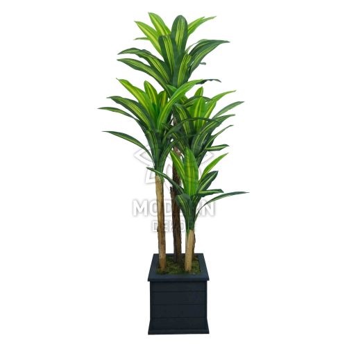 Siyah Dekoratif Ahşap Kare Saksıda Yapay Islak Dracena Ağacı 200 Cm