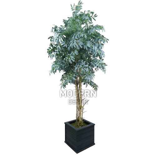 Siyah Dekoratif Kare Ahşap Saksıda Yapay Zeytin Ağacı 210 Cm